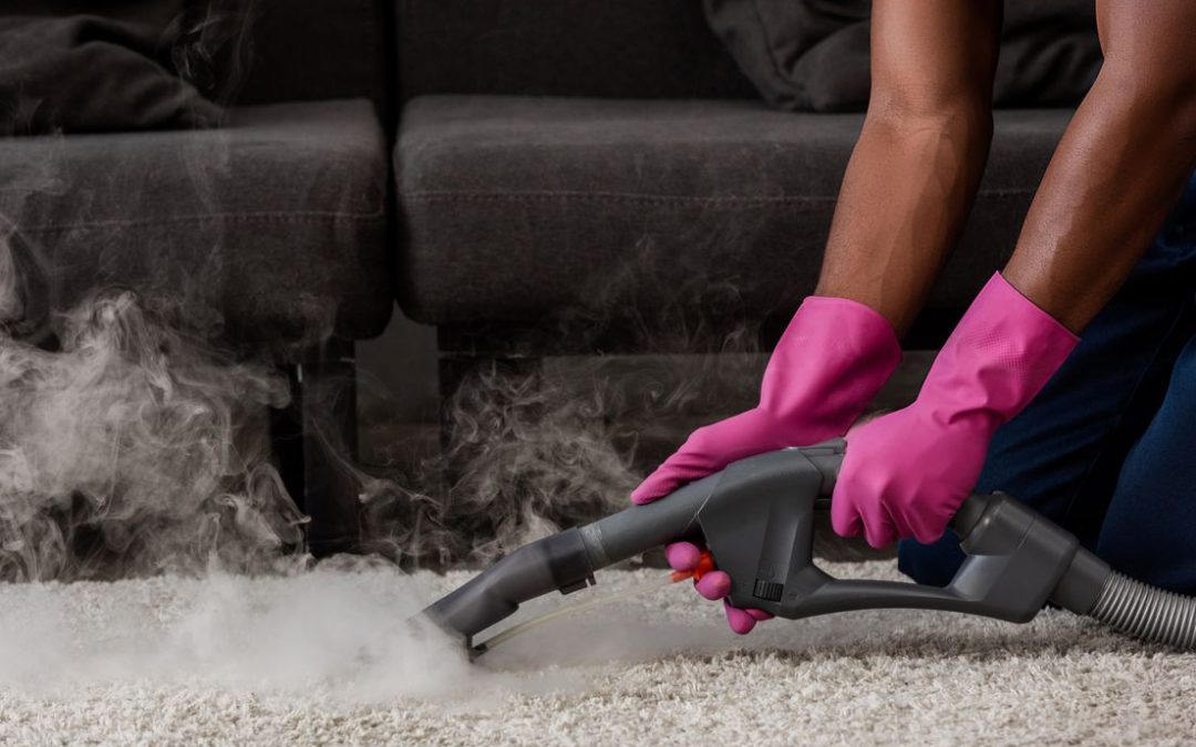 7 Amazing Advantages of Professional Carpet Cleaning in Utah