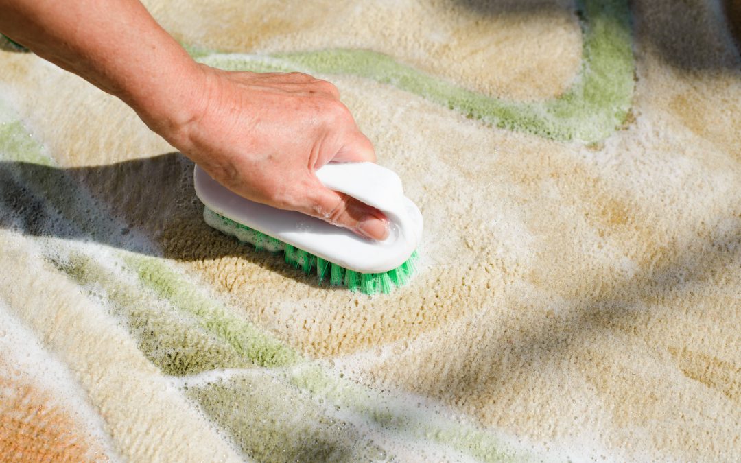 Hey Utah, Here’s How to Deal with a Wet Carpet and Prevent Mold