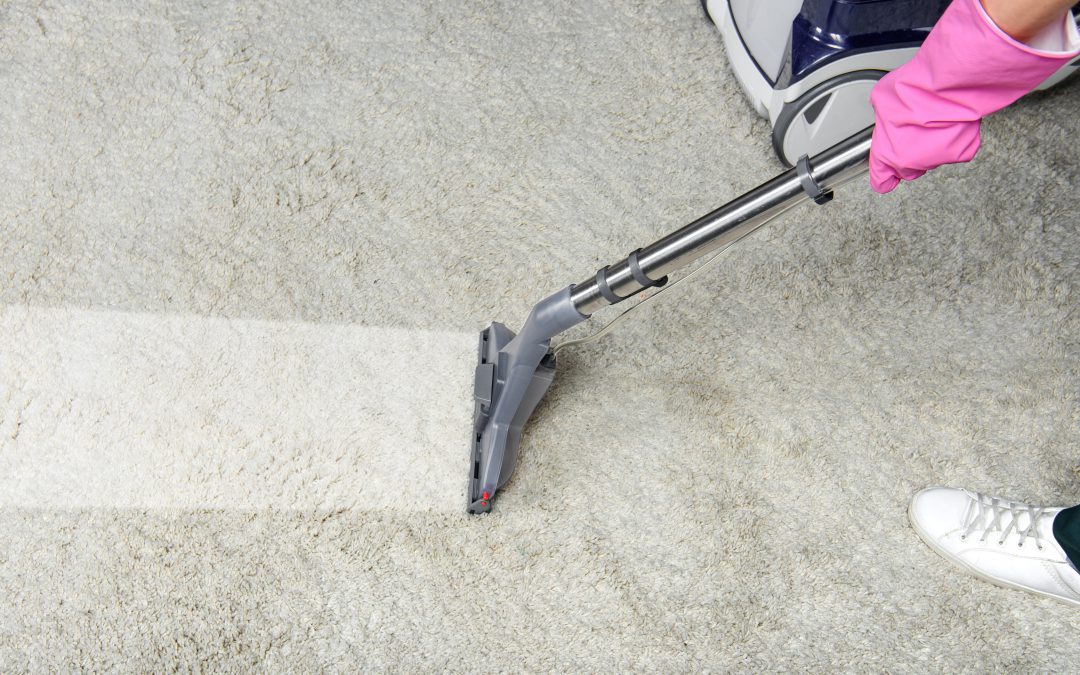 Why Pet Owners Need Professional Carpet Cleaning in Utah