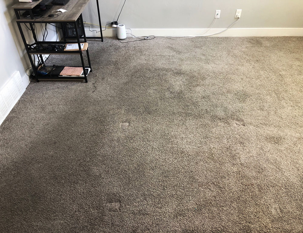 Carpet Cleaning Services in Herriman