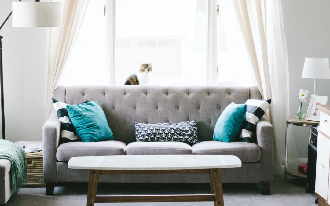 The Importance of Regular Upholstery Cleaning for a Healthy Home