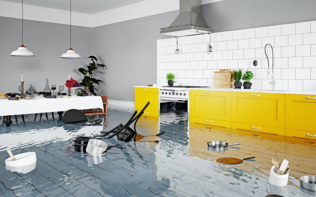 The Importance of Water Damage Restoration and Prevention